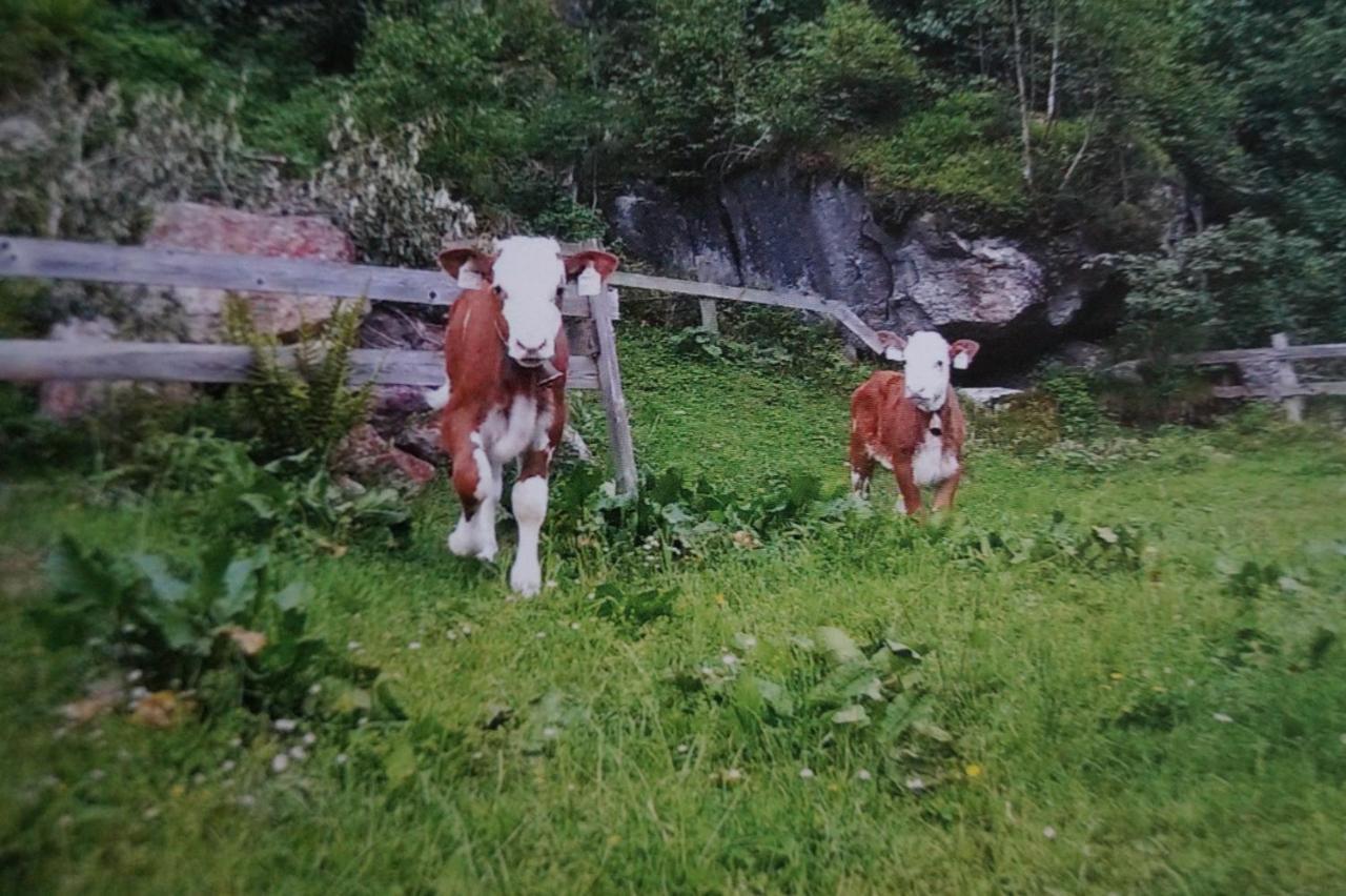 Krandlhof Διαμέρισμα Zell am Ziller Εξωτερικό φωτογραφία