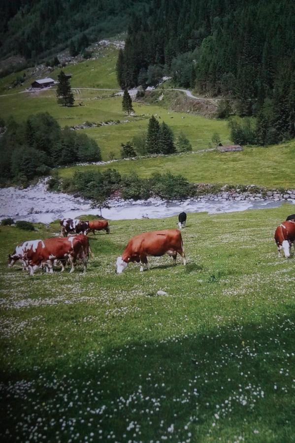 Krandlhof Διαμέρισμα Zell am Ziller Εξωτερικό φωτογραφία